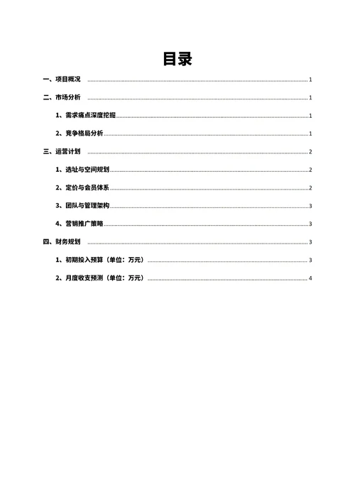 商业创业计划书
