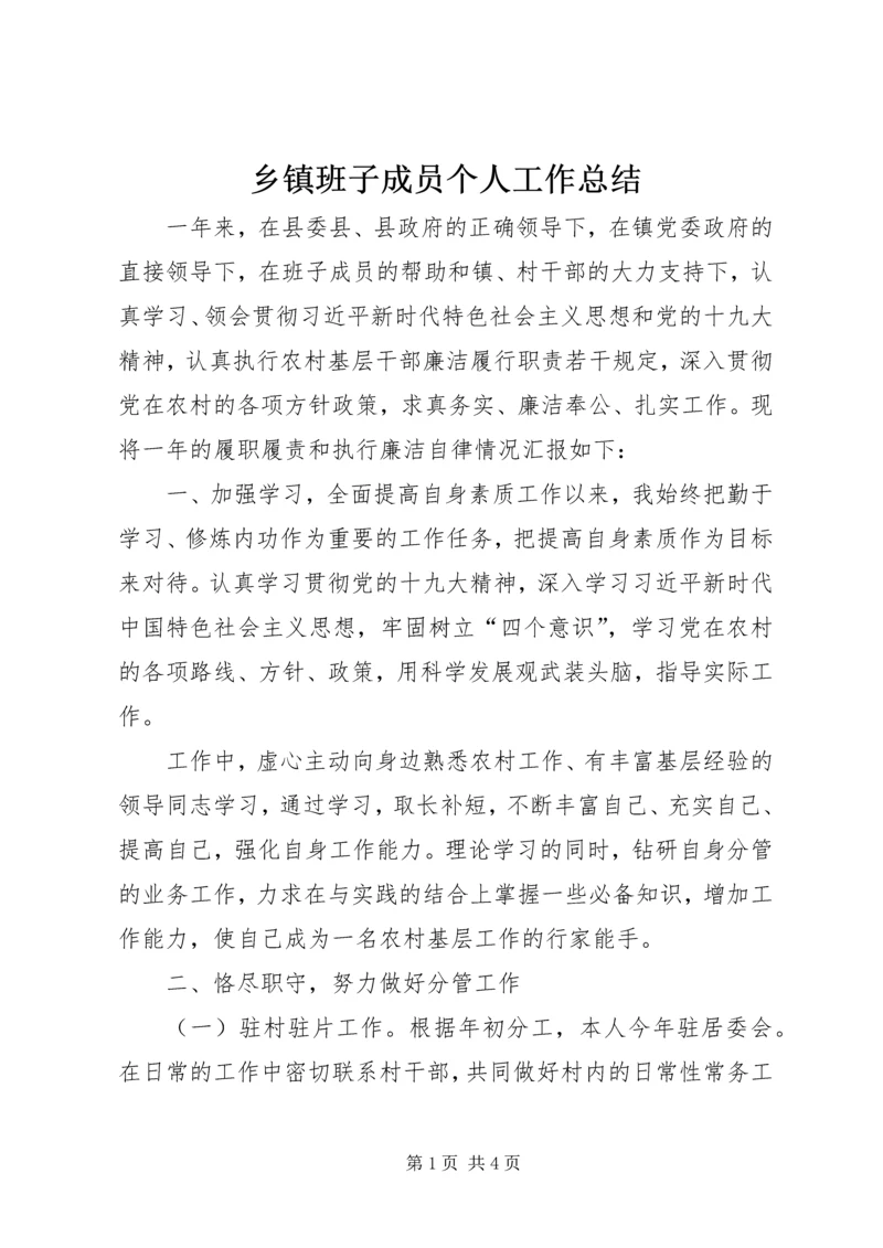 乡镇班子成员个人工作总结.docx