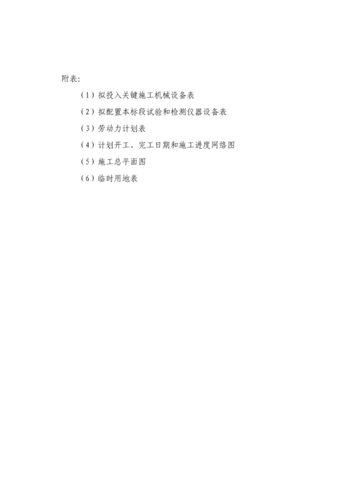 PPP综合项目投标方案专项方案及关键技术专项方案PPP.docx
