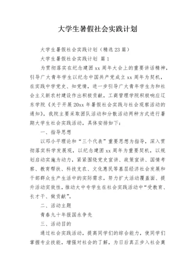 大学生暑假社会实践计划.docx