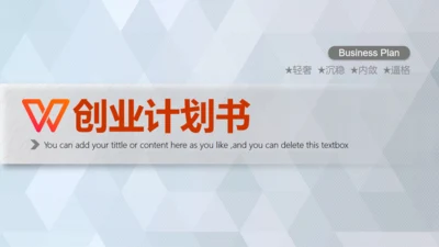 商业轻奢大气银灰色创业项目计划书通用PPT