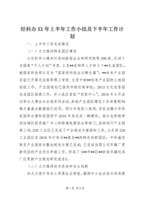 经科办XX年上半年工作小结及下半年工作计划.docx
