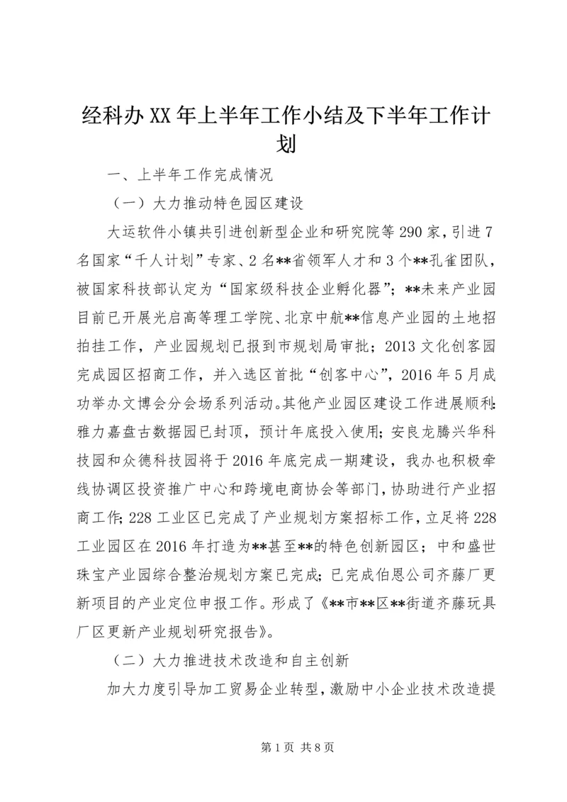 经科办XX年上半年工作小结及下半年工作计划.docx
