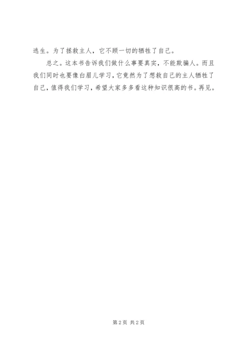 读混血豺王有感.docx