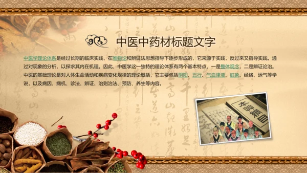 中医学中草药本草纲目PPT模板