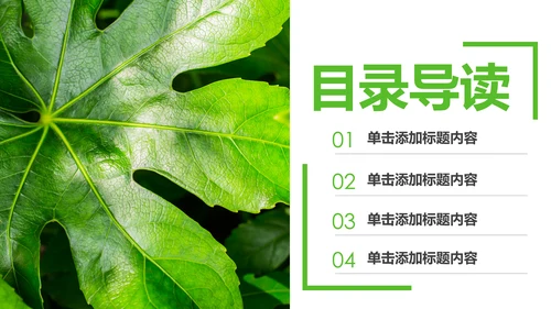 绿色清新植物生长敬畏生命成长励志PPT模板