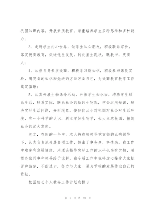 校园校长个人教务工作计划安排.docx