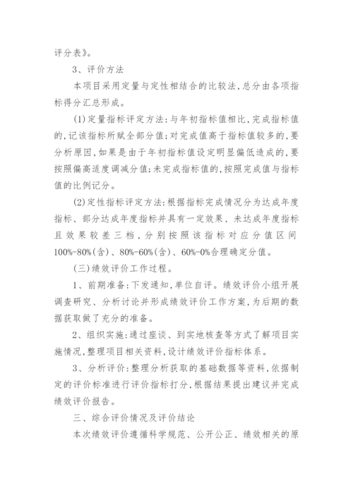 交通项目支出绩效评价报告.docx