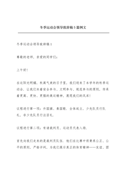 冬季运动会领导致辞稿5篇例文.docx