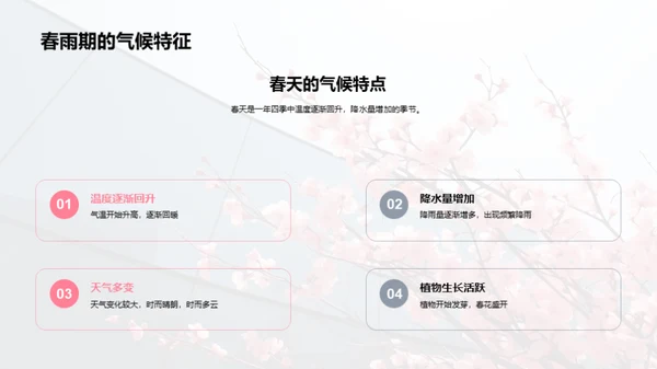 清明节的自然学问