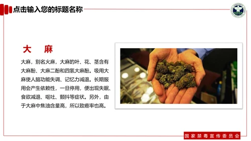 青少年预防不良行为禁毒教育PPT课件