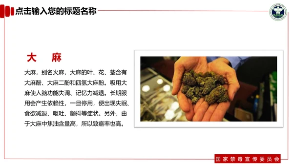 青少年预防不良行为禁毒教育PPT课件