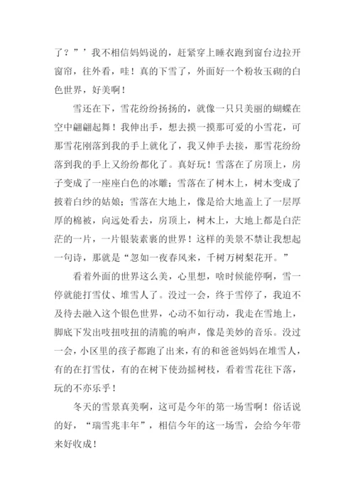 美丽的雪景作文500字.docx