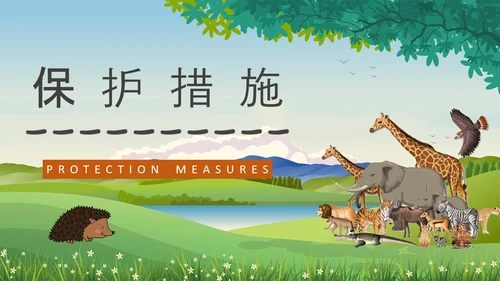 野生动物保护法公益活动宣传森林PPT模板