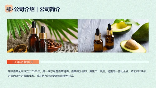 香薰精油商业计划书花朵通用PPT模板