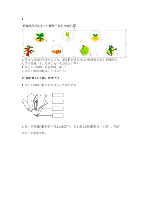 教科版科学四年级下册第一单元《植物的生长变化》测试卷审定版.docx