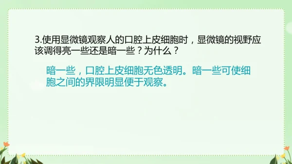 人教版（2024）七年级上册1.2.3 动物细胞 课件(共26张PPT)