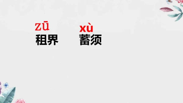 统编版语文四年级上册 语文第七单元期末复习   课件