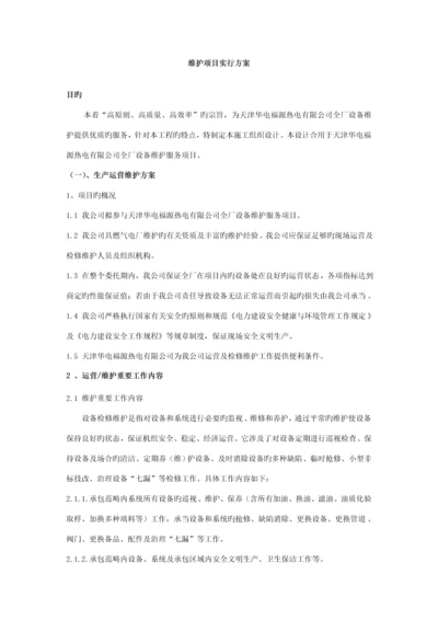 电厂运维的专项项目实施专题方案.docx