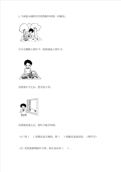 教科版一年级上册科学期末测试卷附参考答案夺分金卷