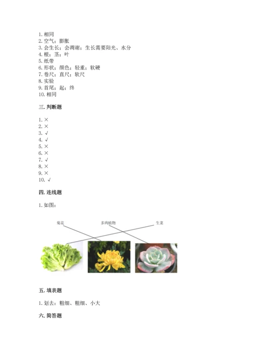 教科版一年级上册科学期末测试卷含答案解析.docx