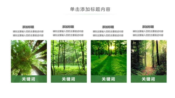 绿色环保森林湿地森林日植树造林动态PPT模