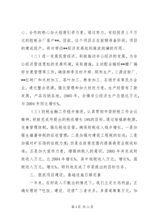 乡镇政府工作总结.docx