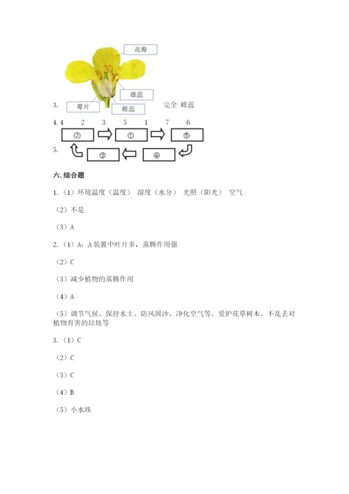 教科版科学四年级下册第一单元《植物的生长变化》测试卷【综合卷】.docx