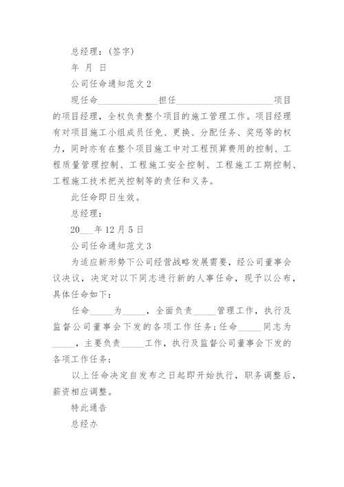 公司任命通知范文.docx
