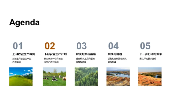 农业生产全景剖析
