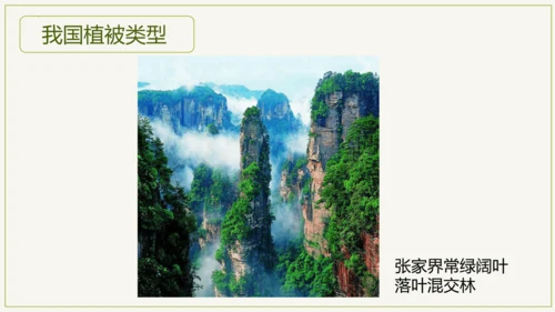 3.6 爱护植被，绿化祖国2023-2024学年七年级生物上学期同步精品课件（人教版）(共21张PP