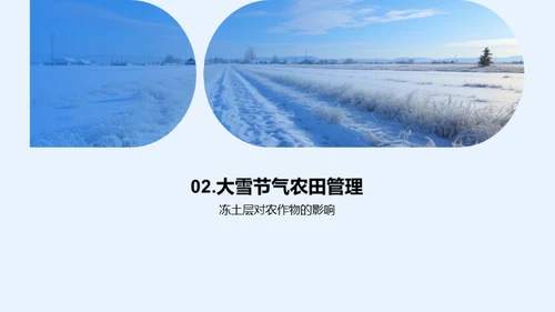 大雪节气农业指南