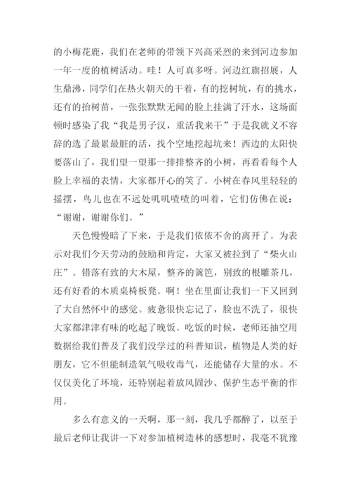 关于节日的作文.docx