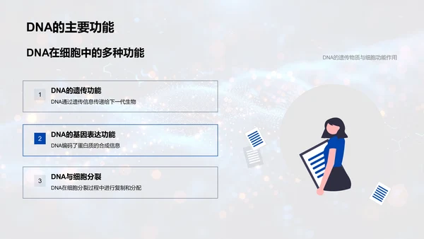 DNA结构与功能