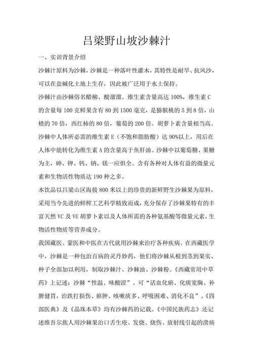 市场营销综合实训策划方案