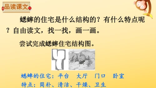 11 蟋蟀的住宅  课件
