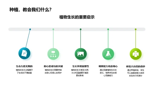 解析植物成长之谜