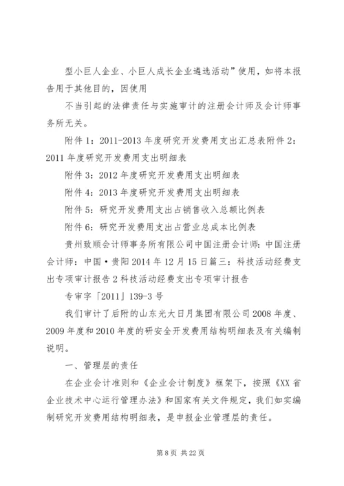 商标专项审计报告 (4).docx