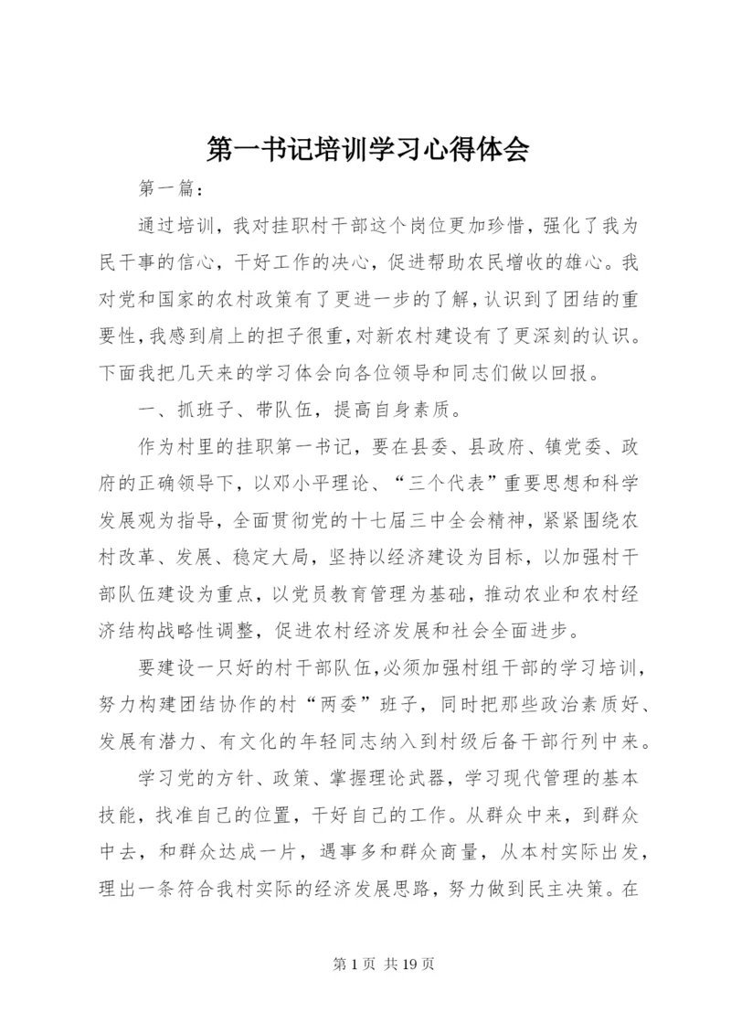 第一书记培训学习心得体会.docx