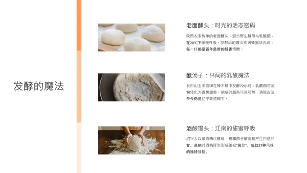黑色橙色简约风中国面食介绍PPT模板