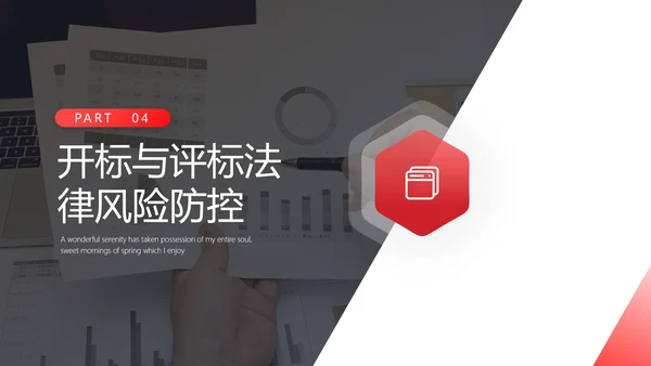 违规招标投标法律风险防控PPT课件