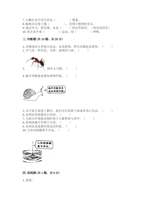 教科版一年级下册科学期末测试卷（全优）.docx