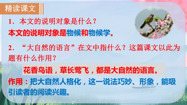 5《大自然的语言》课件