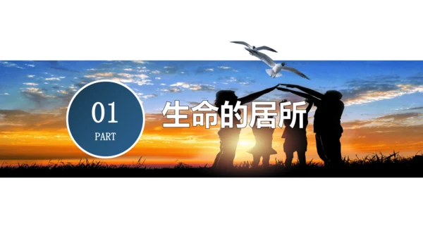7.1 家的意味 课件(22张PPT）