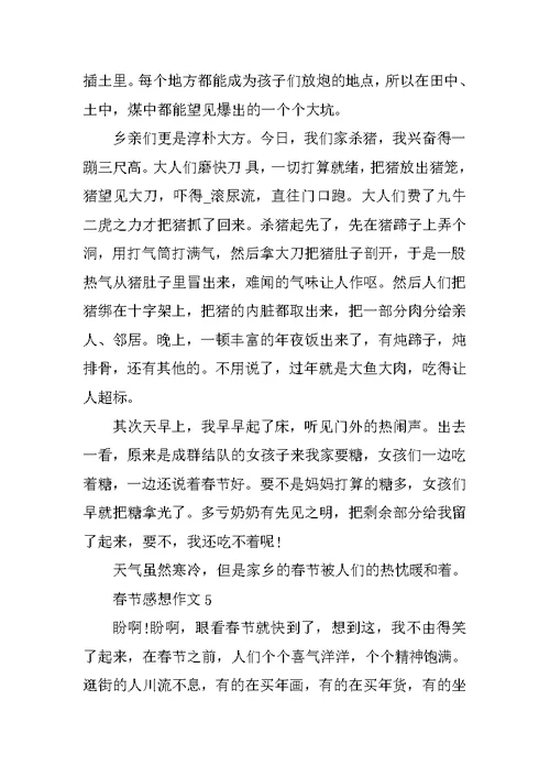 春节感想作文小学