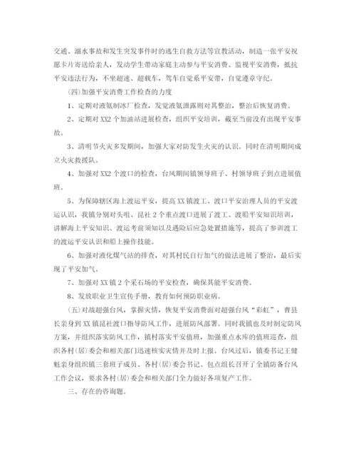 精编之乡镇年安全生产工作参考总结范文.docx