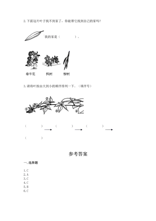 教科版科学一年级上册第一单元《植物》测试卷含完整答案（网校专用）.docx