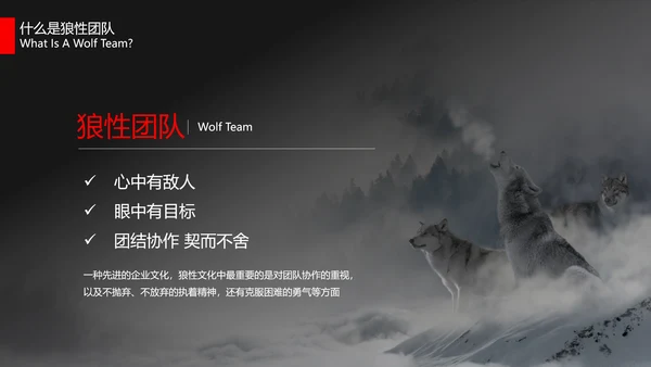 狼性文化教学企业团队培训PPT课件