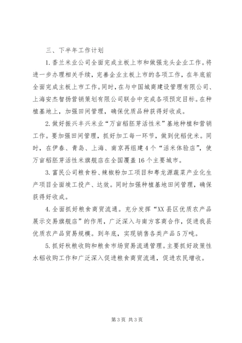 粮食局XX年上半年工作总结及下半年工作计划.docx