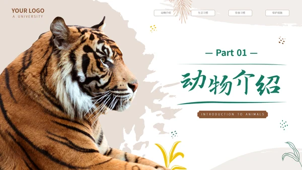 猎豹动物世界花豹科普介绍，豹子通用PPT模板